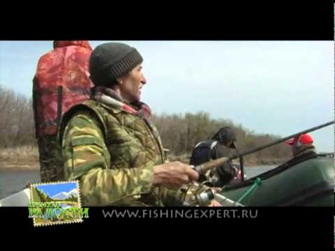 Видеоролик: Рыбалка на Волге