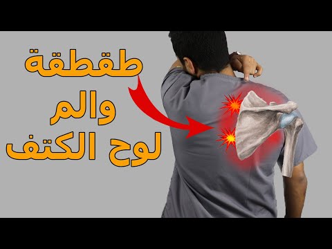 فيديو: هل الباب الخلفي هو نفسه اللوح الخلفي؟