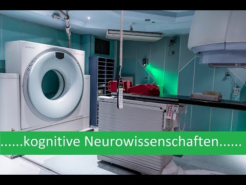 kognitive Neurowissenschaften - Einführung (Theorie der komplexen Topologie/Vernetzung des Gehirns)