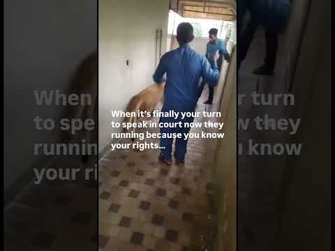 Follow for more