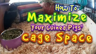 How To Maximize Your Guinea Pigs' Cage Space