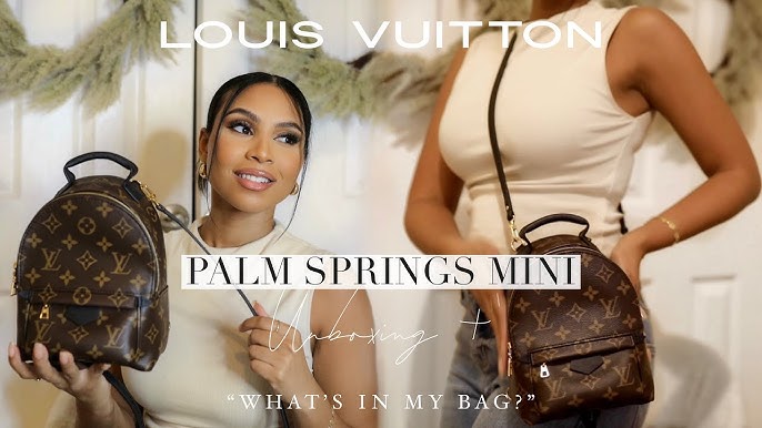 Louis Vuitton Palm Springs Backpack Mini Review