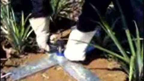 PR2 Multi Depth Soil Moisture Sensor Installation