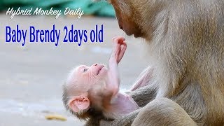 So Surprise 2 Days Old Cutie Baby Brendy Talking & Raise Her Hand To Touch Mama Branda 's Face screenshot 5