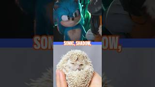 Sonic vs. irl hedgehogs! 💙 | Nickelodeon #Shorts