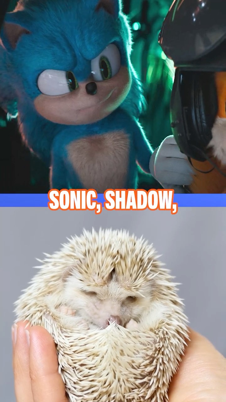 Sonic vs. irl hedgehogs! ? | Nickelodeon #Shorts