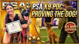 PSA 1 Obedience Training 101 | Working K9 Training ft. Franky (FJB K9)
