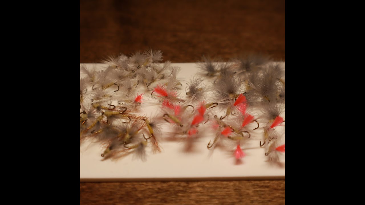 PMD Dry Fly Suggestions For Montana YouTube Pmd dry fly suggestions for montana youtube