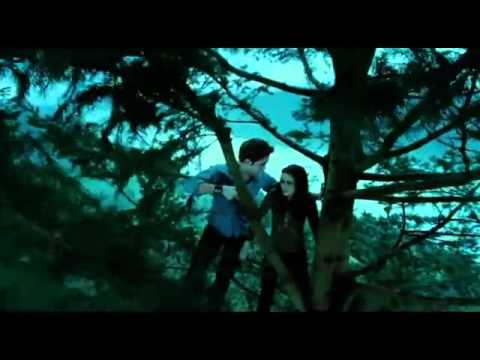 Is It love Easy love Busy love by Taimur afridi