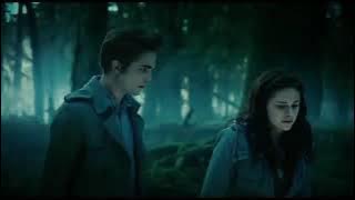 Is It love Easy love Busy love by Taimur afridi