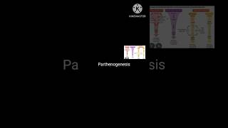 পার্থেনোজেনেসিস HSC botany chapter 10 উদ্ভিদ প্রজনন #biology #botany #study #parthenogenesis