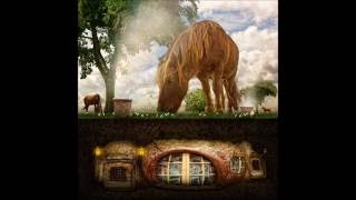 Souterrainwohnung Zu Vermieten