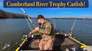 Catfishing Tactics: Epic Day On The Cumberland- All T.A.R.P. Trophy Fish!