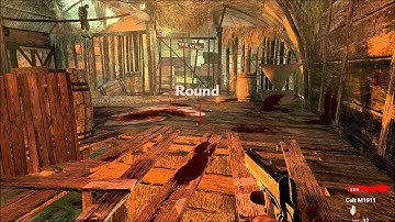 COD 5: How To Put Cheat Codes On  Zombies