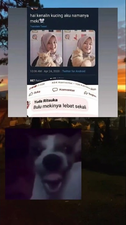 bulu meki nya lebat juga ya #shorts #fyp #meme #memes #memeviral