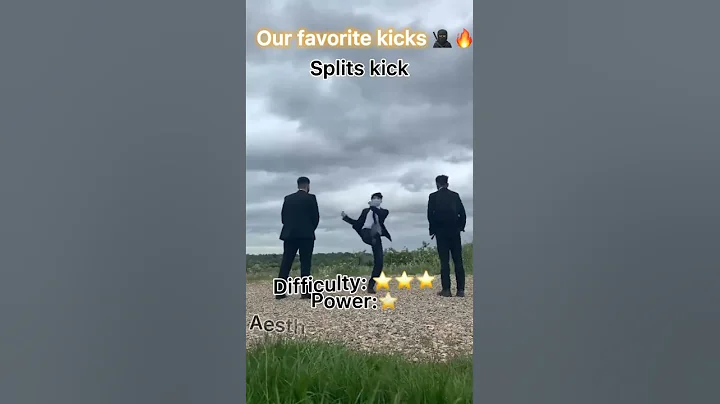 CRAZIEST TAEKWONDO KICKS