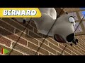 🐻‍❄️ BERNARD  | Collection 33 | Full Episodes | VIDEOS and CARTOONS FOR KIDS