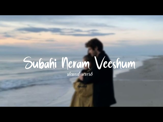 subahi Neram Veeshum  song (slowed reverb 🤎 class=