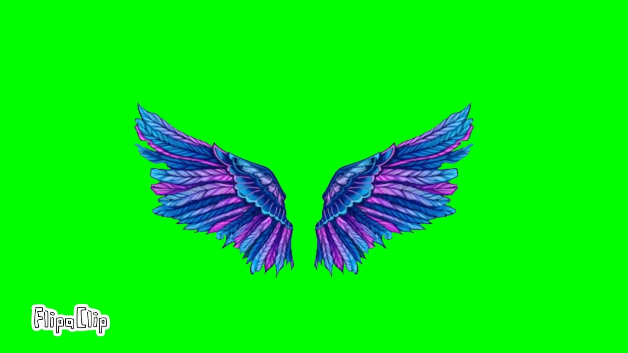 Green screenWings YouTube