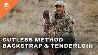 How to Remove Deer Backstraps and Tenderloins ( BEST Method )