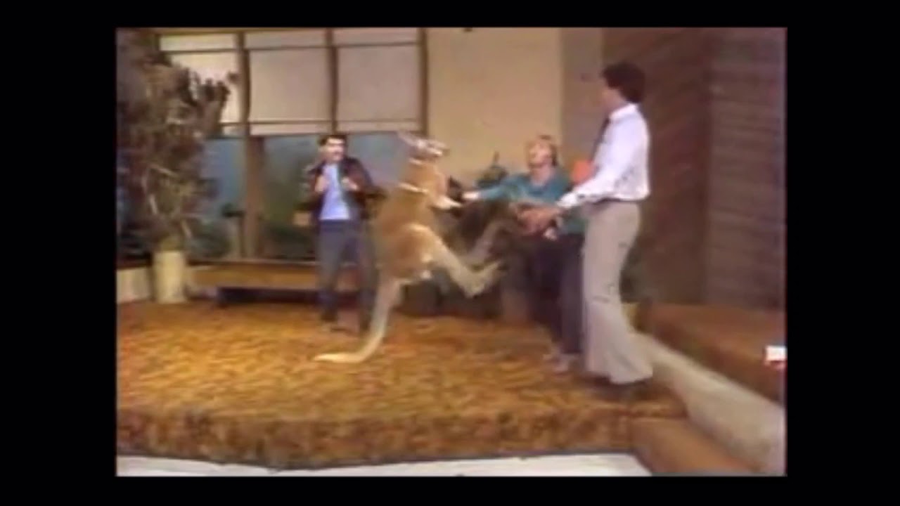 Killer Willard goes off and wins YouTube