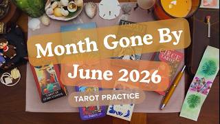 Tarot & Oracle Decks in Review | June 2026