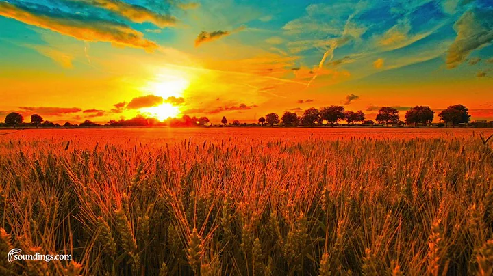 Best Sound Therapy Music Mix - Dean Evenson Sound ...