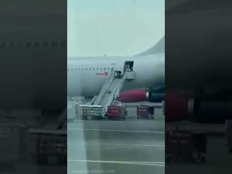 VIRAL Kerja Pemalas Staf Lion Air Saat Membongkar Barang Penumpang