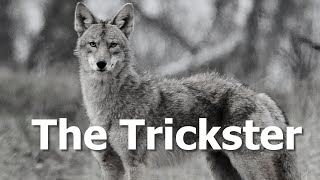 The Trickster's Tale: Native American Lore of the Superstition Mountains with Hank Sheffer screenshot 4