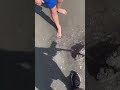 Beach Metal Detecting - This Kid was so Excited to get this Find !