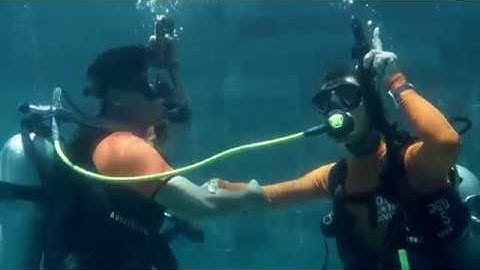 #10 Alternate air source ascent