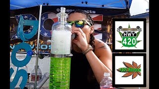 Dabs & Live Music | 7/10 Bremerton | Fuse The Illustrator | Sweet As! | Dose Oil