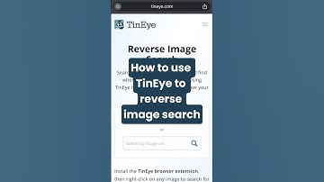 How to Use TinEye to Reverse Image Search