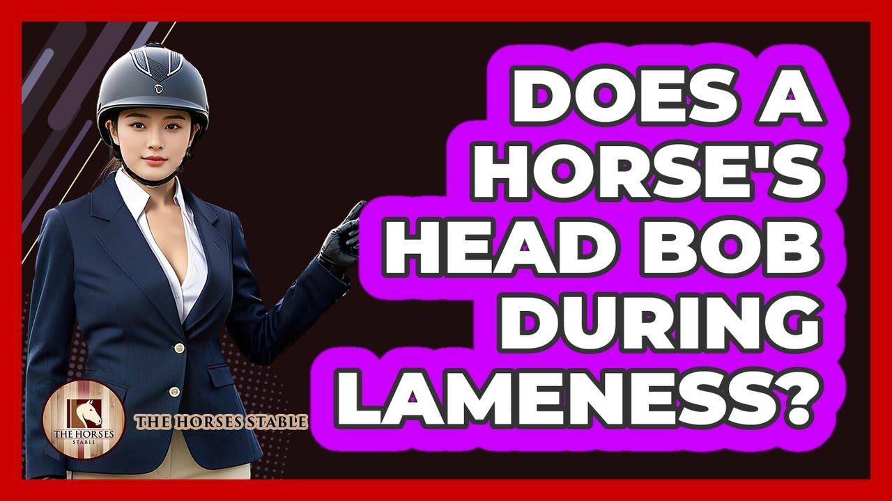 Does A Horse's Head Bob During Lameness?