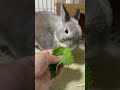 今日はそっぽ向いて食べるそうです