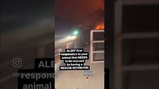 Wildfire Evacuation: Why Firefighters Can't Find Your Pet #palisades #wildfire #rescue  #evacuate