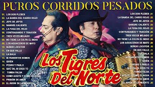 MIX TIGRES DEL NORTE VOL 1 CORRIDOS / Puros Corridos Mix 🔥 Puros Corridos Pesados Mix Album Completo by Musica de Salsa 60,600 views 4 weeks ago 1 hour, 19 minutes