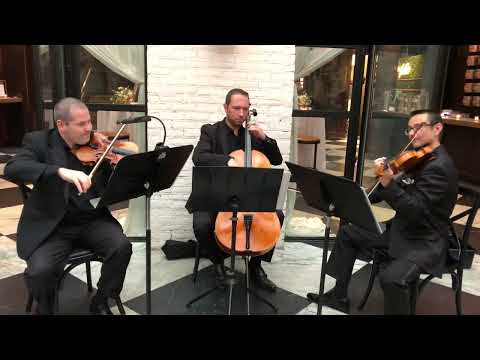 Sunset Strings' trio performs "Here Comes the Sun" before a wedding ceremony.