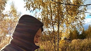 ОСЕНЬ. Прогулка с сыном. Муравьи готовятся к зиме.