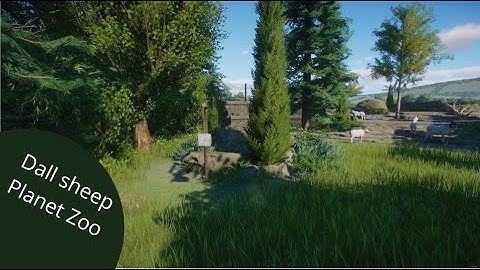 Ep1 - Dall sheep habitat Rossa Zoo