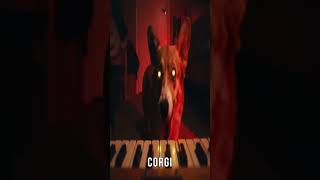My Corgi Twerks at 3AM 😱 #3am #creepypasta #dontwatchalone #corgi  #twerk  #haunted