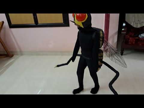 Amazing housefly fancydress costume