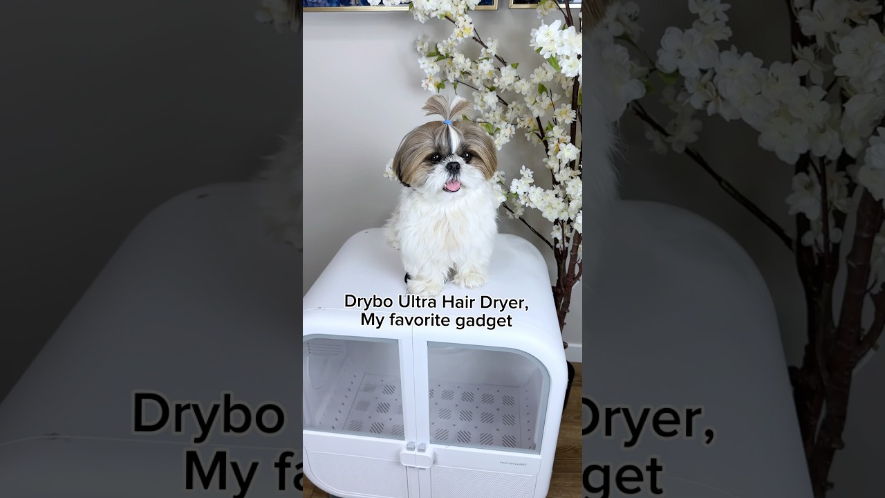 Get your fluffs their own dry room 