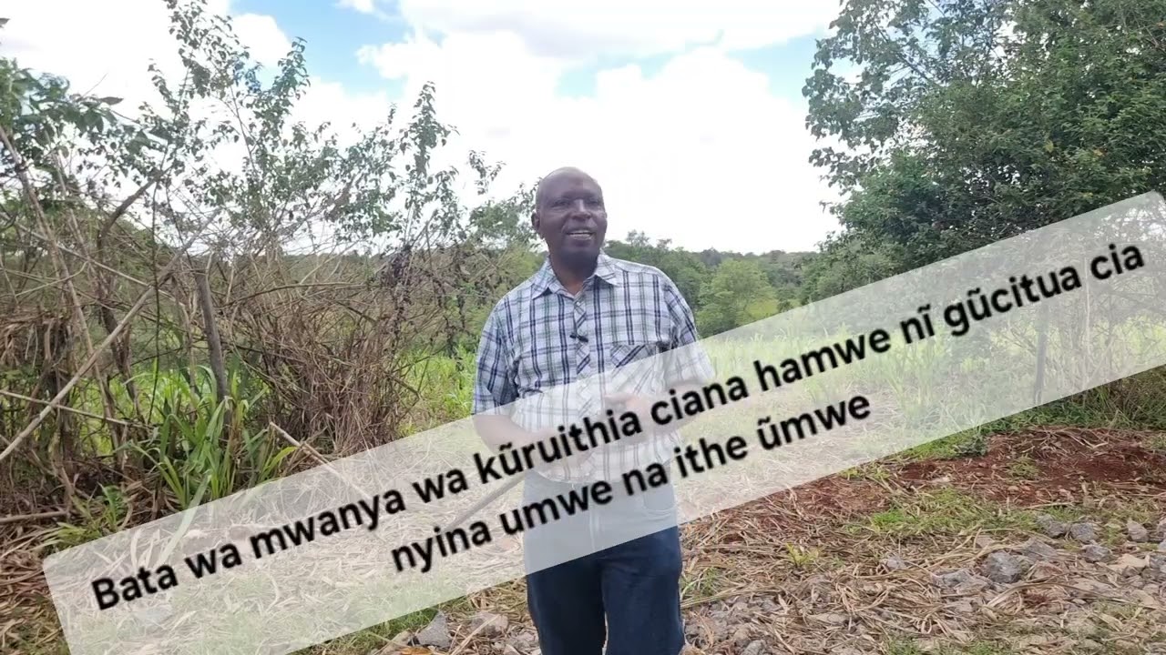 Bata wa mwanya wa kũruithia ciana hamwe.