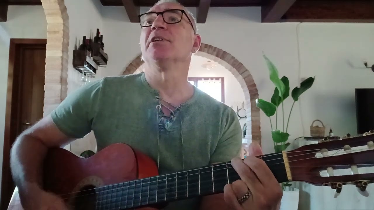 Ode to my family - The Cranberries cover guitar