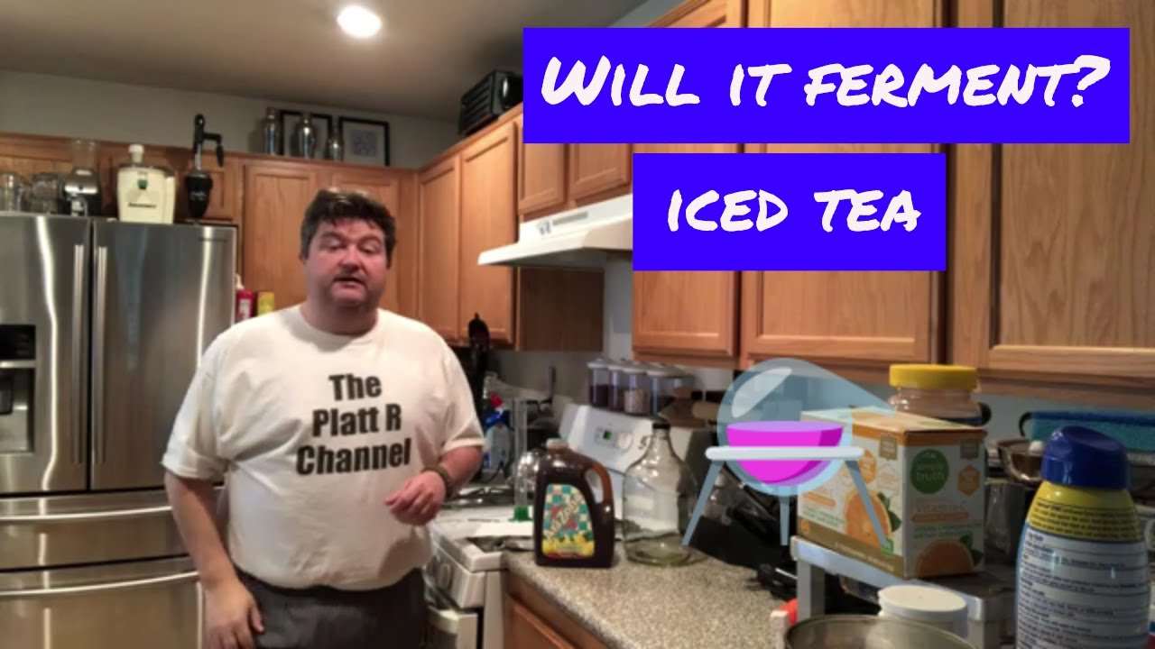 Will it Ferment? Iced Tea YouTube
