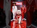 Kitty Brand Mafia – Tesla, McDonald’s, Apple, Ferrari & More! #cats #cat #kitten #brand