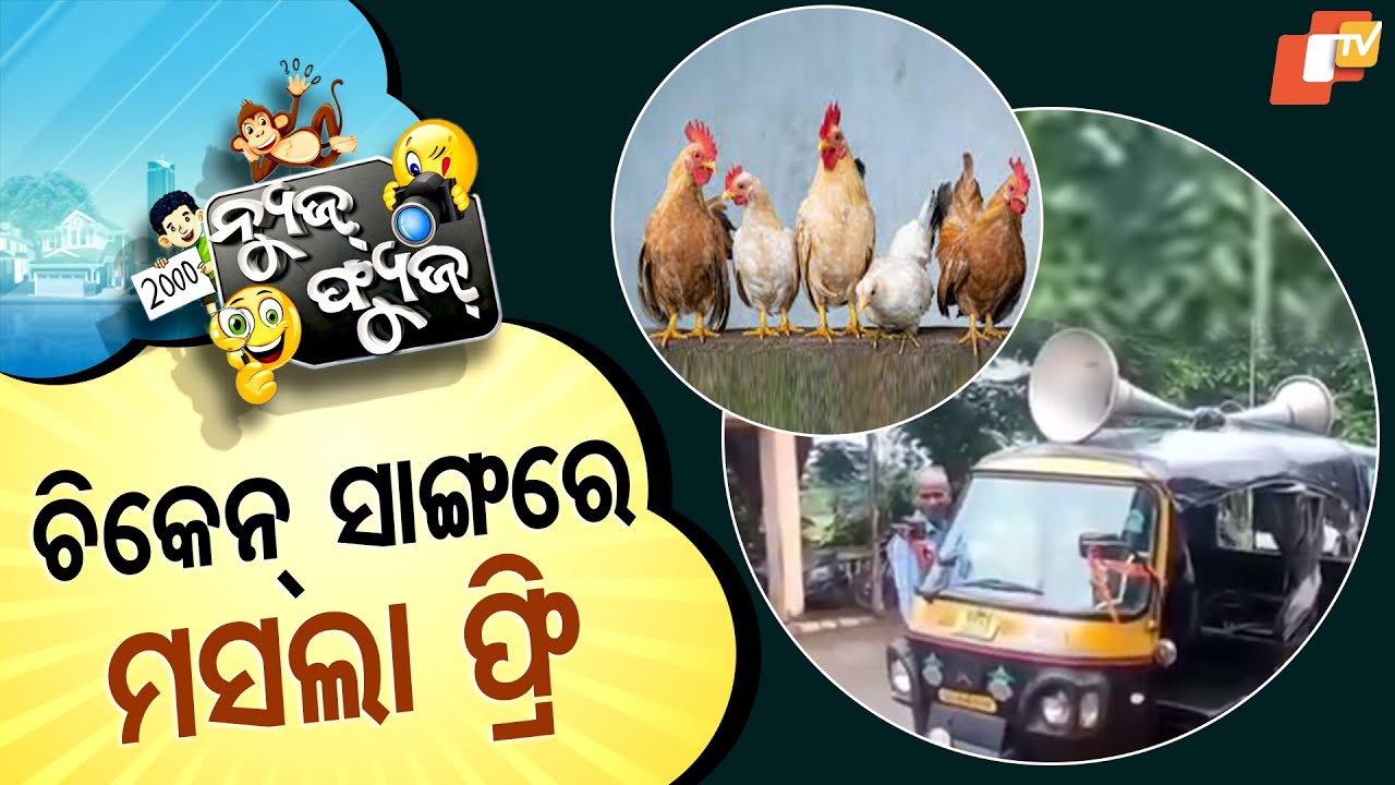 News Fuse 1ST AUG 2025