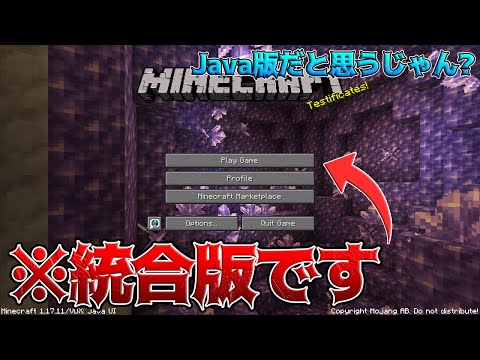 【統合版】見た目が完全にJava版だけど実は統合版です。【マイクラ】【Minecraft】