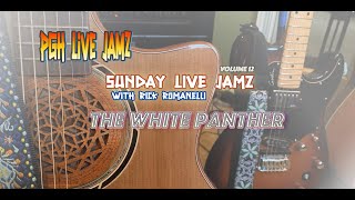 Sunday Live Jamz with Rick Romanelli - Volume 12 - The White Panther
Welcome back folks. This months Sunday Live Jamz with Rick Romanelli features a pretty simple playthrough over a really basic 2 chord vamp. In retrospect, probably should have carved out a change for this, but it still sounds pretty cool and was fun to play with Rick. If you want to play along, we are just rocking against an Em and a D. If you can look past the blindingly white pasty appearance of my legs you might enjoy this one. Hope you do.
Many thanks to Rick for swinging by Agatha Studios (muh basement)!
If you enjoy what I offer and wanted to say thanks, you can make a donation via my MetaMask @ (please let me know though so I can thank you!):
0xb13A4e29F1A86fDE8359AF6137Cb53B7132F46EB
If you wanted to donate via paypal:
paypal.me/PGHLiveJamz
Thanks, Love you All. Sunday Live Jamz with Rick Romanelli - Volume 12 - The White Panther